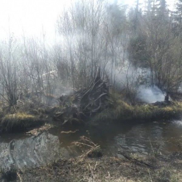 From 705Blackfly.com: Campfire allegedly responsible for Kearney brush fire