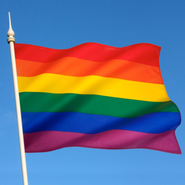 From 705Blackfly.com - Ontario’s Pride Flag Debate