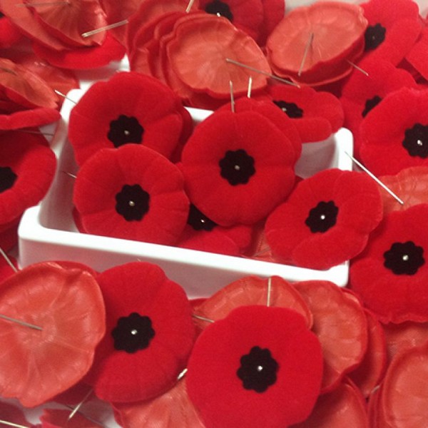 Remembrance Day ceremonies held across the region Saturday