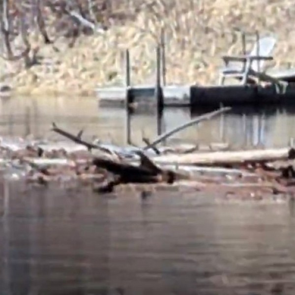 Muskoka Lakes working with MNRF to manage high water levels