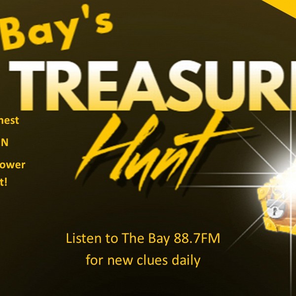 Win a Snow Blower during The Bay's Treasure Hunt