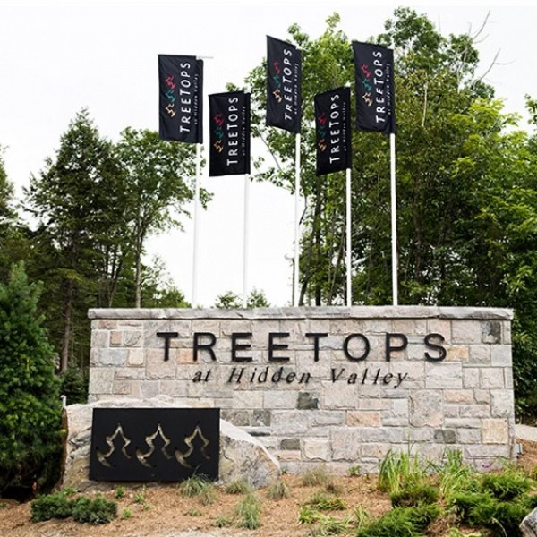 Treetop developers seek extension for condo development at Hidden Valley in Huntsville
