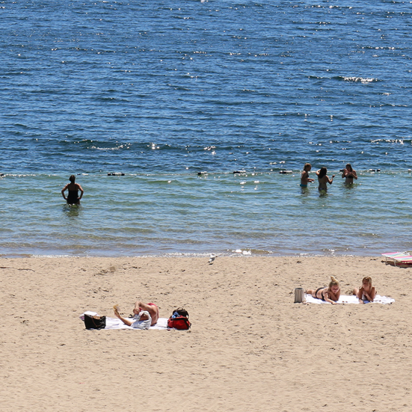 Swim Advisory Posted for Dwight Beach, Port Sydney Beach and the Muskoka Bay Park in Gravenhurst