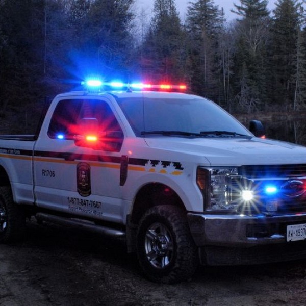 Four men fined after illegally hunting in Gravenhurst