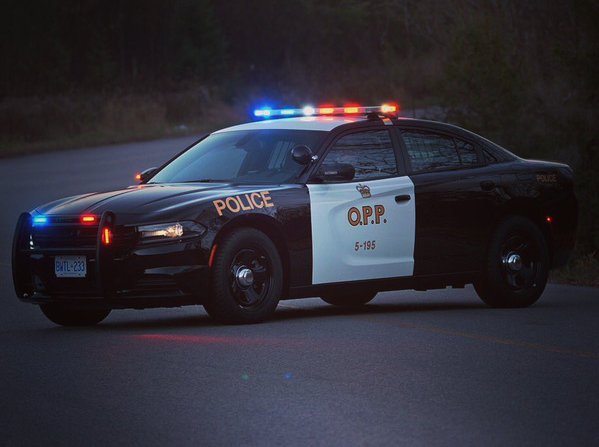 OPP arrest person involved in dispute
