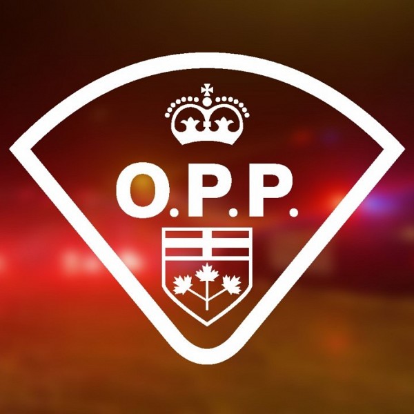 OPP investigating antisemitic messages at a Washago residence