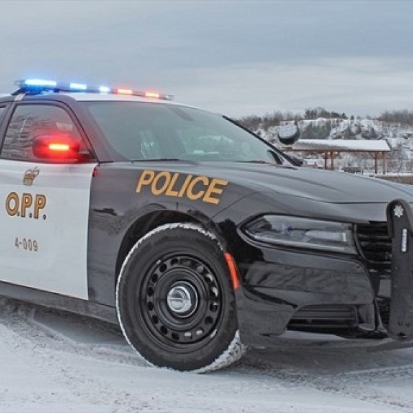 Algonquin Park collision claims life of Ottawa man